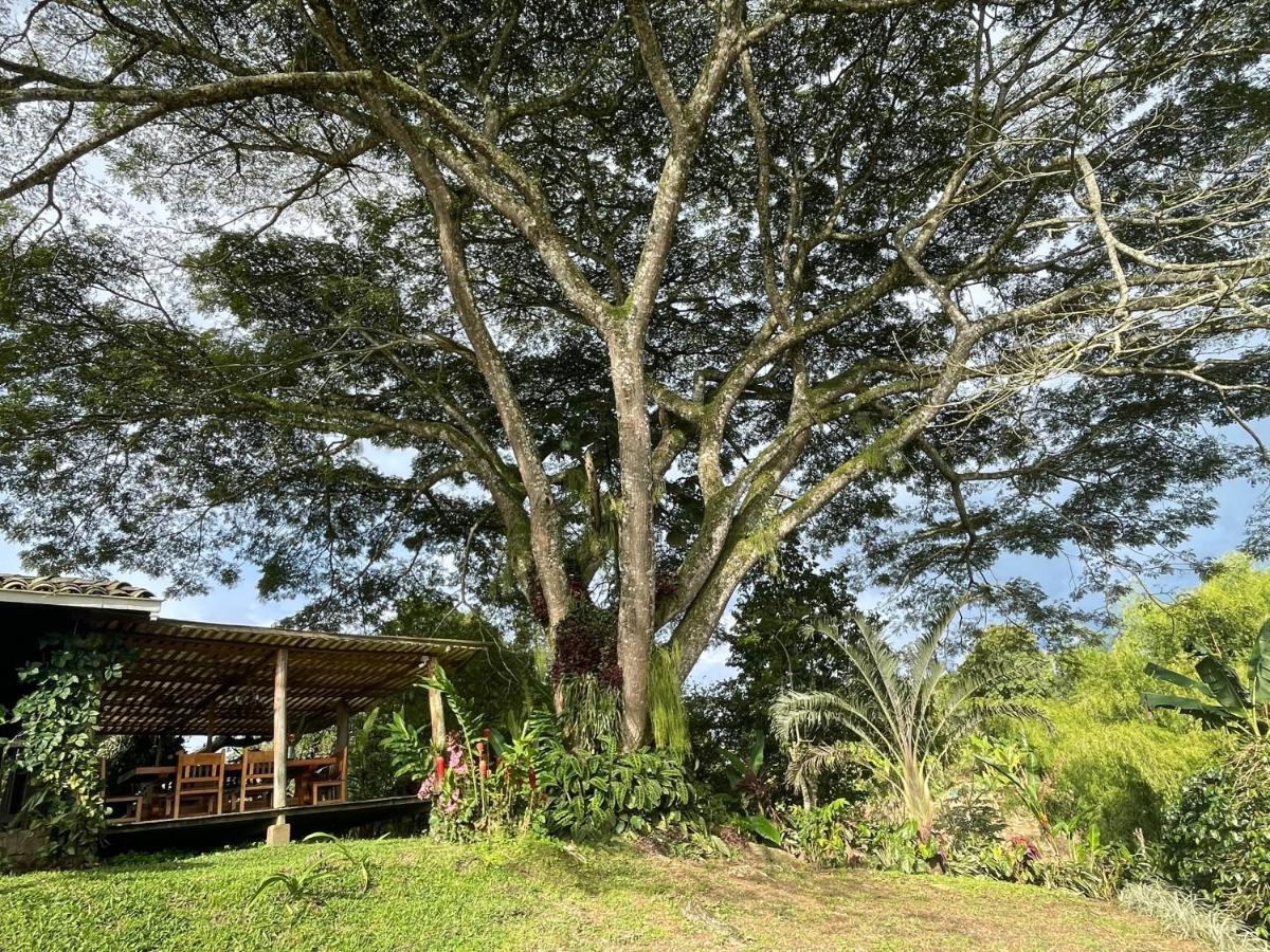 Muchosur Quimbaya Hotel Exterior photo